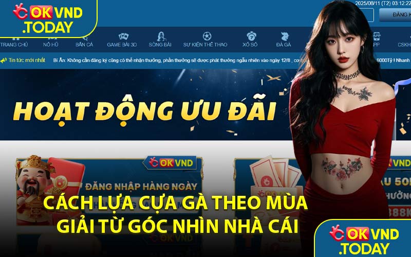Cách Lựa Cựa Gà Theo Mùa Giải Từ Góc Nhìn Nhà Cái