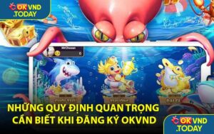Những Quy Định Quan Trọng Cần Biết Khi Đăng Ký OKVND