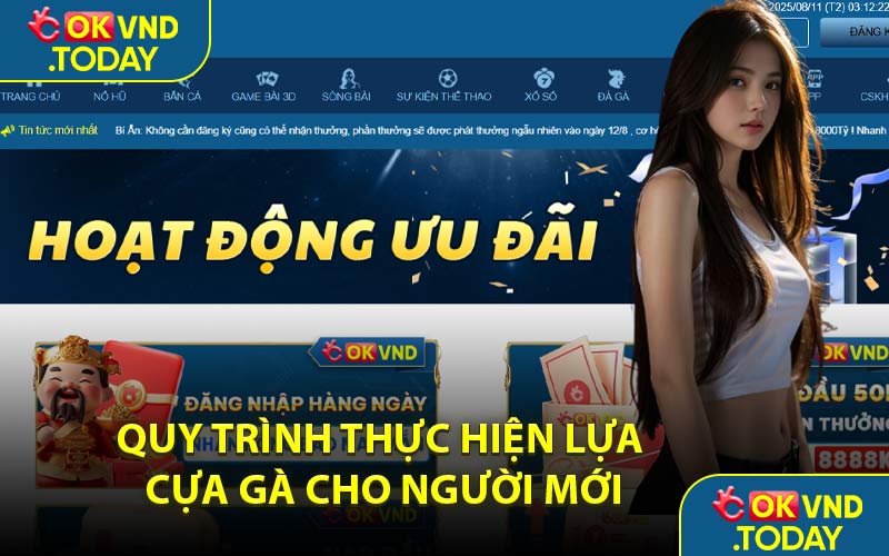 Quy Trình Thực Hiện Lựa Cựa Gà Cho Người Mới